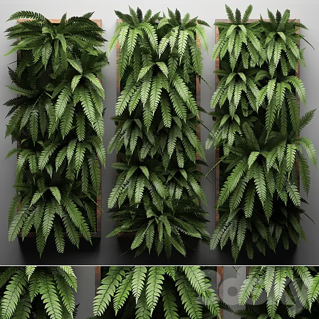 Vertical garden 30. fern picture vertical garden phytowall wall decor phytomodule eco design natural materials 3ds Max