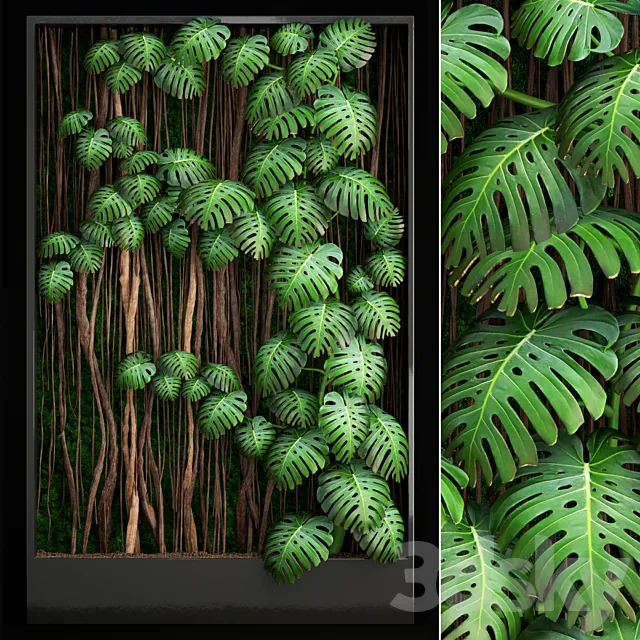 Vertical garden 9. Monstera phytowall phytomodule eco design vertical garden decorative 3DS Max Model