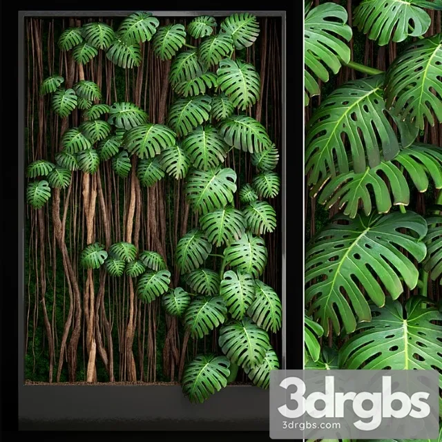 Vertical garden 9. monstera, phytowall, phytomodule, eco design, vertical garden, decorative