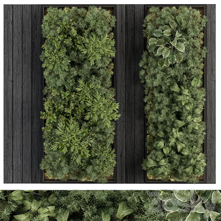 Vertical Garden Black Frame – Wall Decor 38 3DS Max