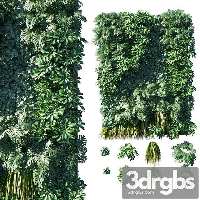 Vertical garden  green wall 02