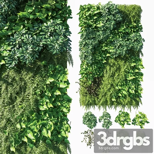 Vertical garden  green wall 03