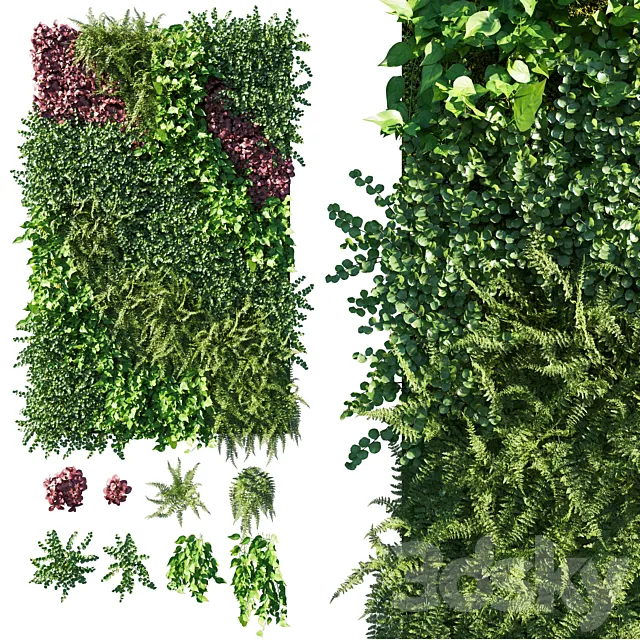 Vertical Garden Green Wall 09 3DS Max Model