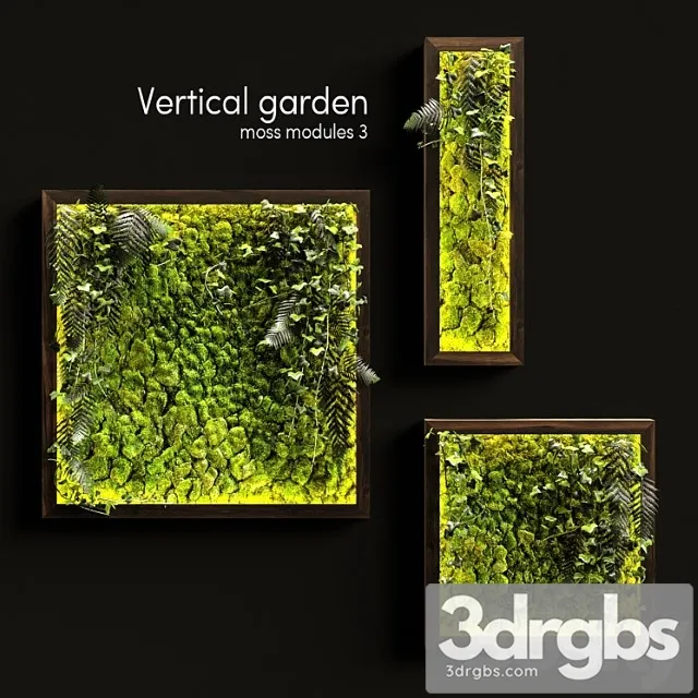 Vertical garden. moss modules 3