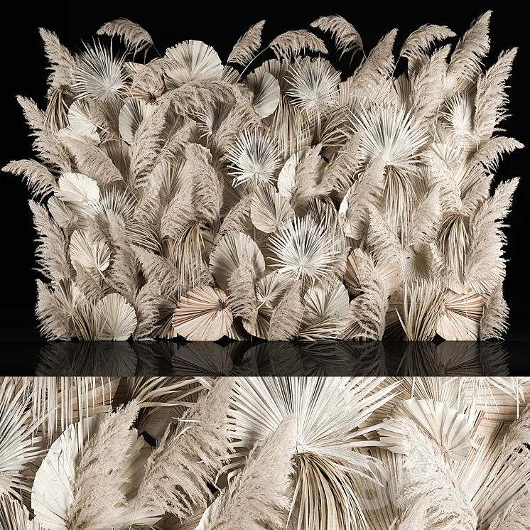 Vertical garden of dried flowers pampas grass dry palm branches Cortaderia Bouquet and dry reeds. 283. 3DS Max Model