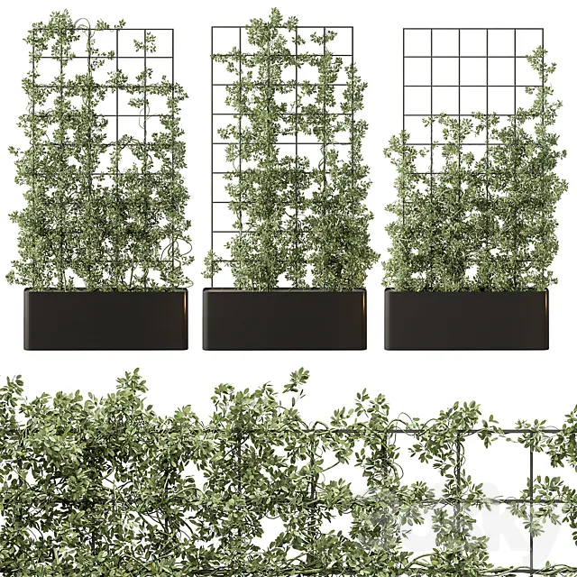 Vertical Garden Partiton – Set 101 3DS Max Model