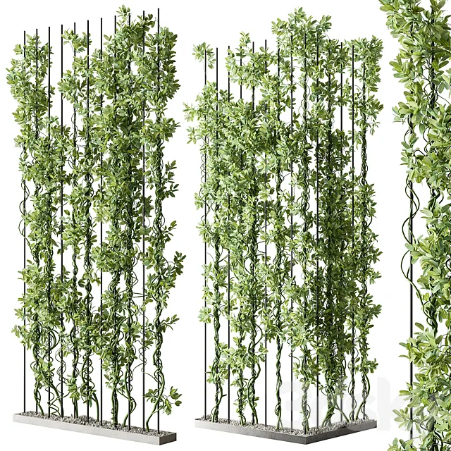 Vertical Garden Partiton – Set 111 3DS Max Model