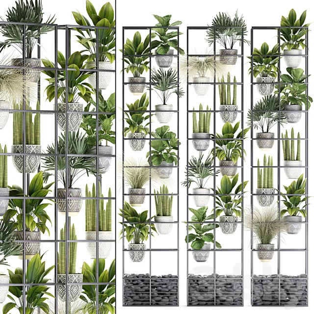 Vertical gardening. 31. Shelf with flowers grass ficus Raphis indoor plants vertical garden phytowall phytomodule pots eco design sansevieria ficus lyrata Raphis palm rack 3ds Max