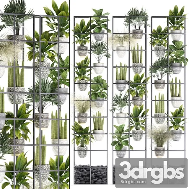 Vertical gardening. 31. shelf with flowers, grass, ficus, raphis, indoor plants, vertical garden, phytowall, phytomodule, pots, eco design, sansevieria, ficus lyrata, raphis palm, rack