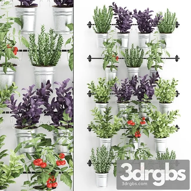 Vertical gardening. 33. kitchen garden, vegetable garden, vegetables, herbs, tomatoes, rosemary, basil, railing, phytowall, phytomodule