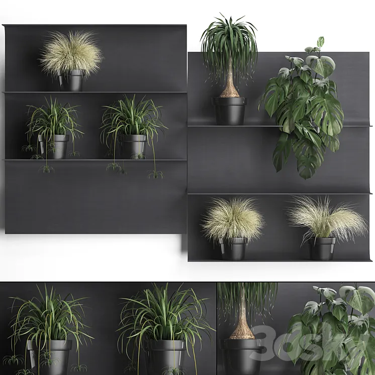 Vertical gardening. fifty Black metal shelf shelf with flowers loft monstera grass Chlorophytum dracaena 3DS Max