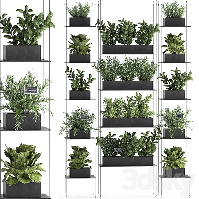 Vertical gardening home garden kitchen garden shelf suspension with plants phytosten phytomodule. Set 63. 3DS Max Model