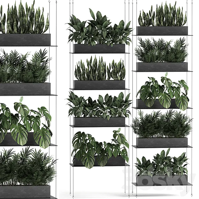 Vertical gardening of the home garden on a black flower shelf with a Monstera a phytosten a phytomodule. Set of 64 3DS Max Model