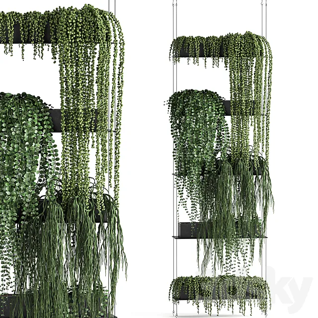 Vertical gardening Succulents hanging plants a black shelf a Krestovnik a phytostena a phytomodule. Set 65 3DS Max Model