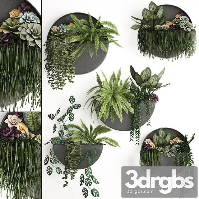 Vertical Greening 56 Garden Wall Decor Fern Succulents Black Metallic Polka Flowers Loft Hanging 3dsmax Download