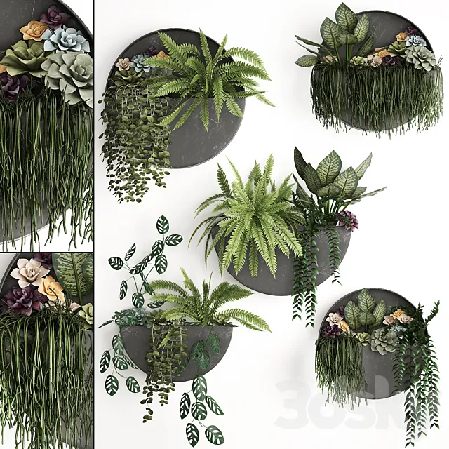 Vertical landscaping for the wall with a black metal shelf with Garden. Succulents. hanging plants. Ferns. Set 56 3DSMax File