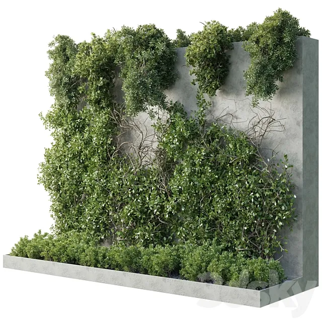 Vertical Wall Garden – Ivy partition – Outdoor garden plant 216 3ds Max