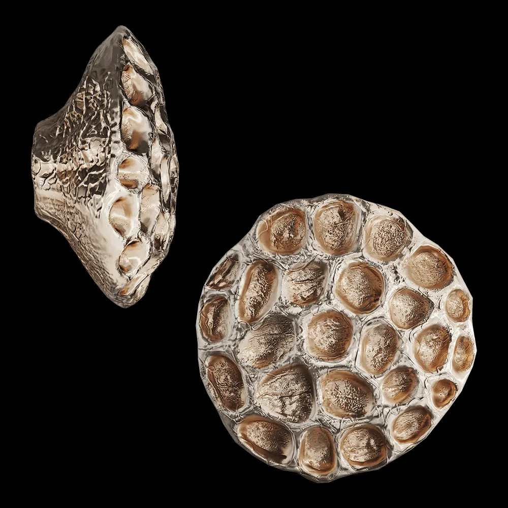 Vetvi – Earth 3ds Max