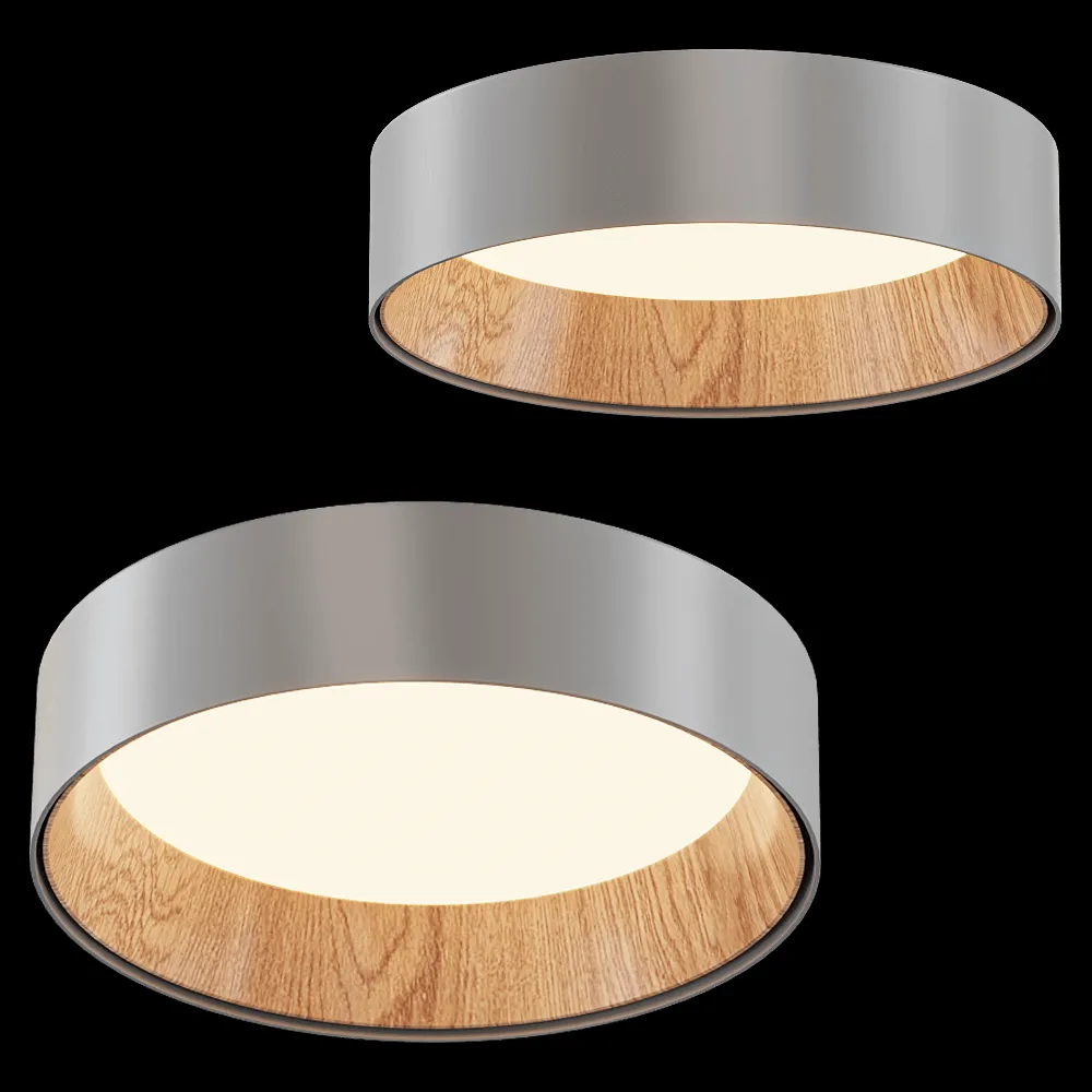 Vibia – Ceiling lamp Duo 4870 3ds Max