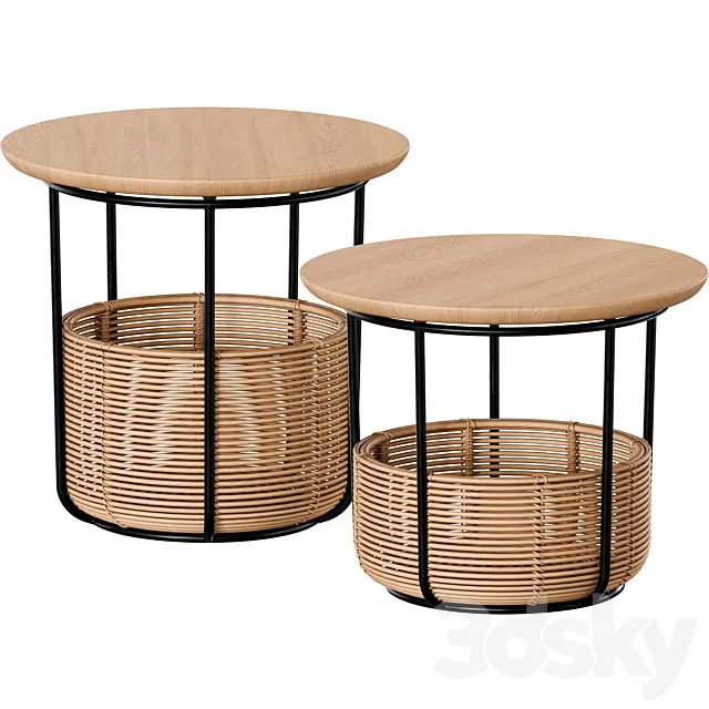 Vincent Sheppard Basket table 3DS Max Model