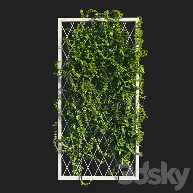 Vines on wall 3DS Max Model