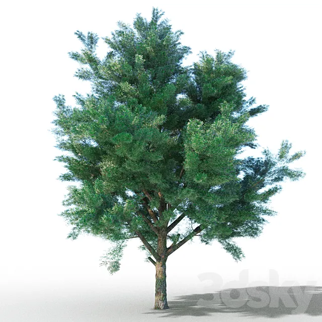 vysokopoligonalnye tree 3DS Max Model