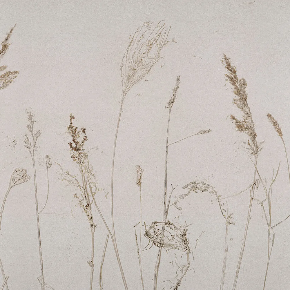 Wall Art – Wallpaper Campo di Avena 3ds Max