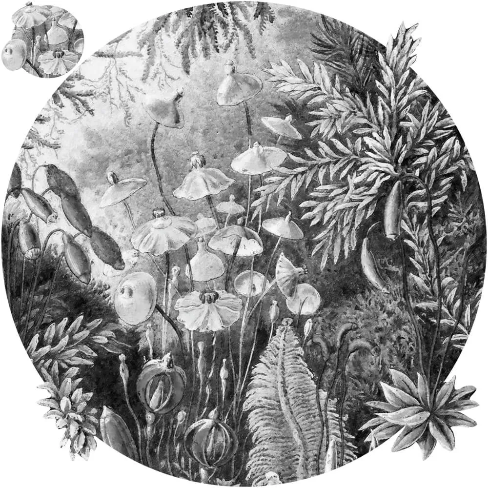 Wall Art – Wallpaper Fairytale Black & White round 3ds Max