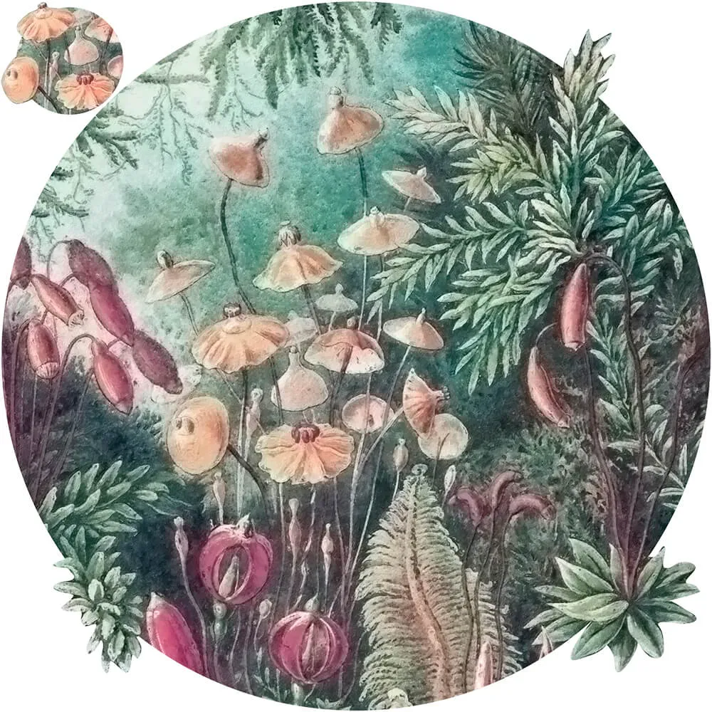 Wall Art – Wallpaper Fairytale round 3ds Max