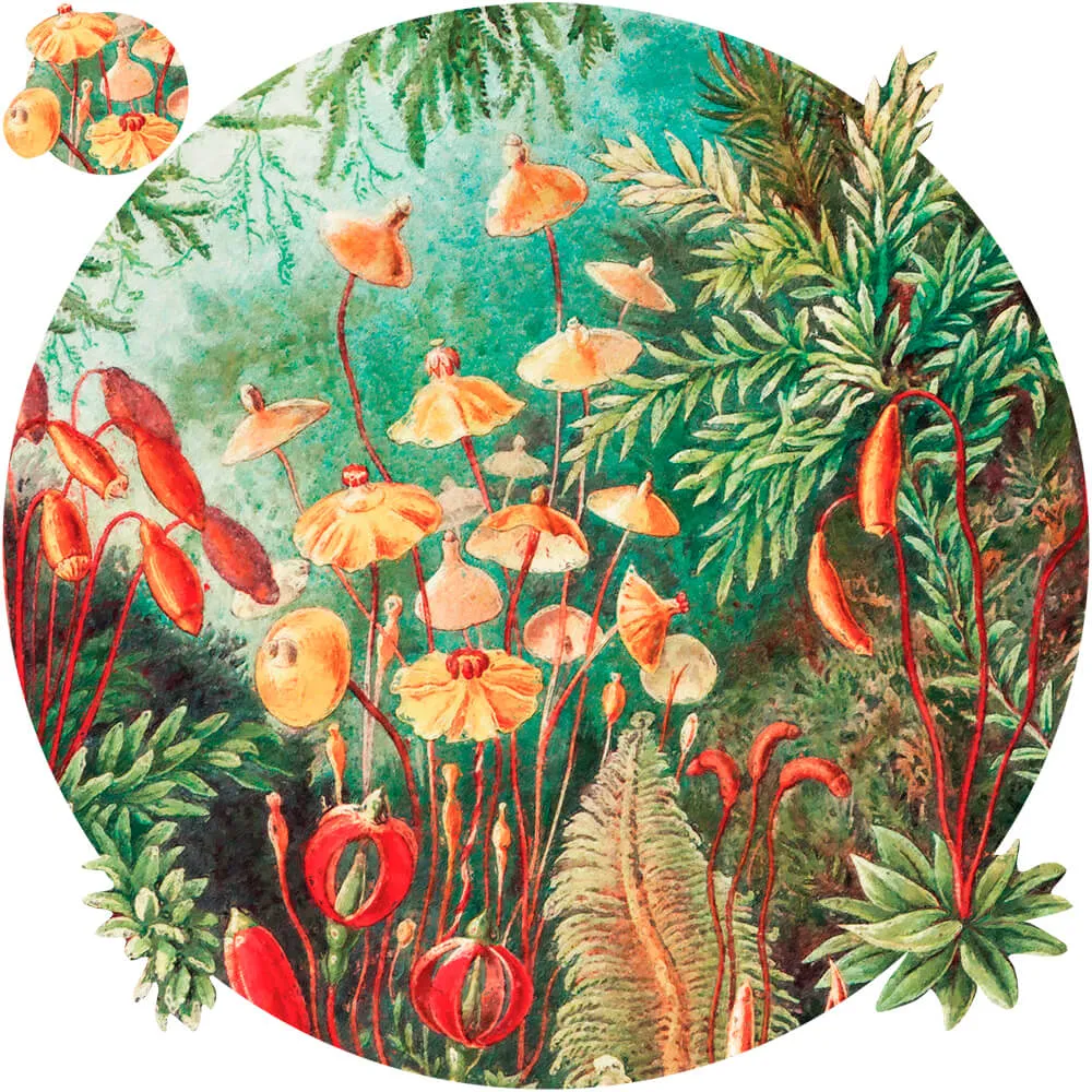 Wall Art – Wallpaper Fairytale Vivid  round 3ds Max