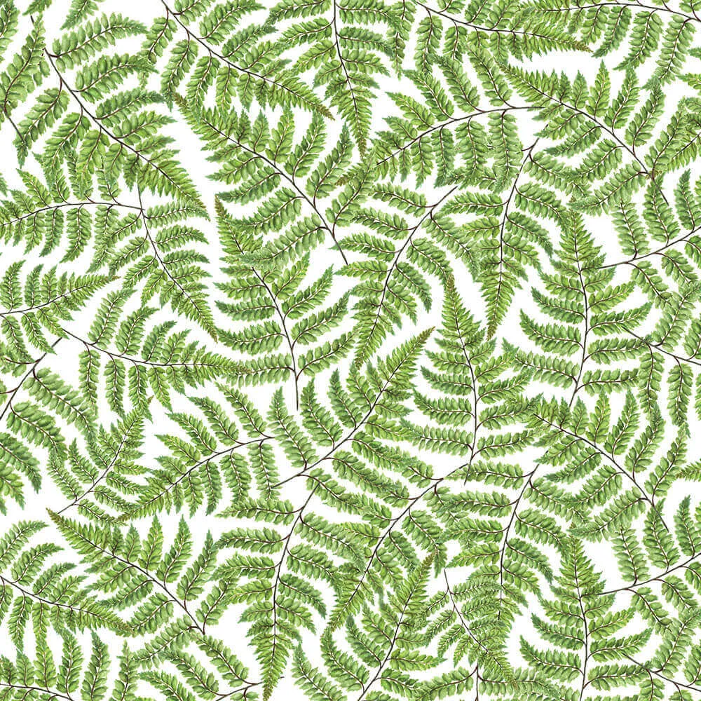 Wall Art – Wallpaper Jurassic 3ds Max