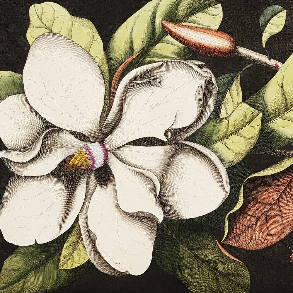 Wall Art – Wallpaper Laurel 3ds Max