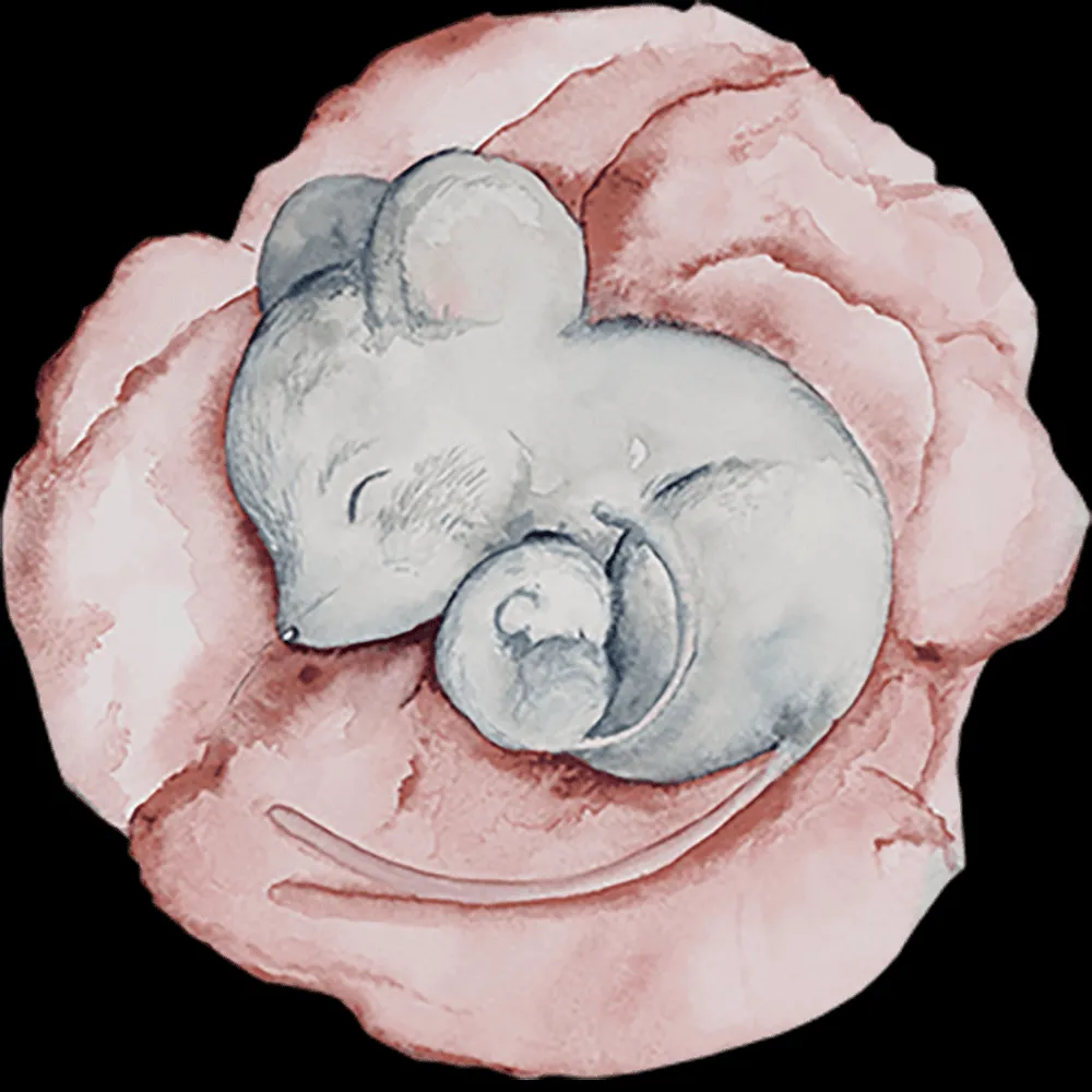 Wall Art – Wallpaper Little Nap round 3ds Max