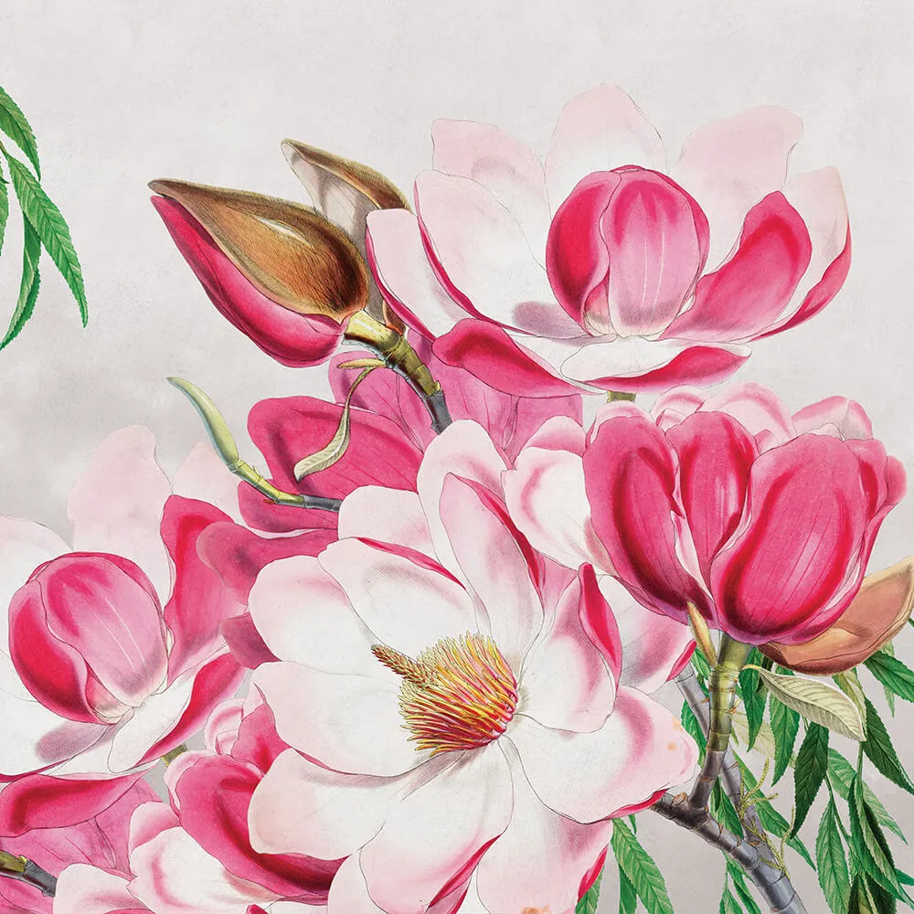 Wall Art – Wallpaper Magnolia 3ds Max