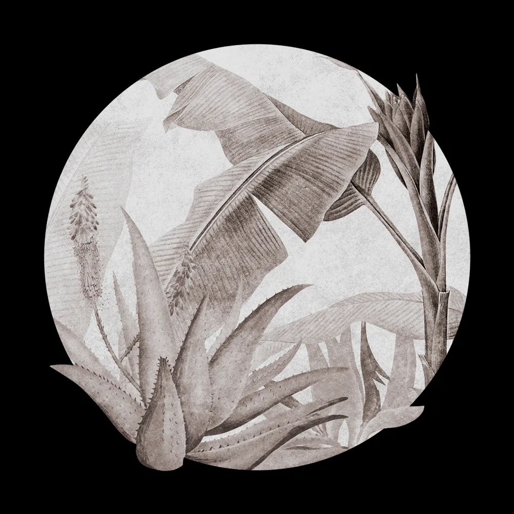 Wall Art – Wallpaper Rainforest Beige round 3ds Max