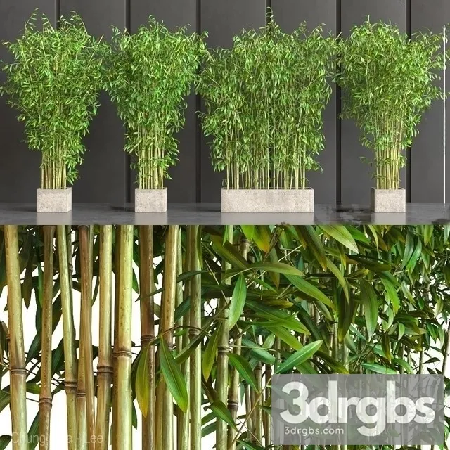 Wall Bamboo Set 3dsmax Download