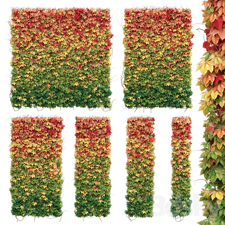 Wall from autumn leaves. Set of 6 models 3DS Max