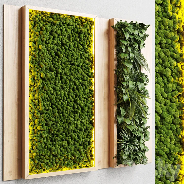 wall garden and vertical moss in wooden frame 22 3DS Max