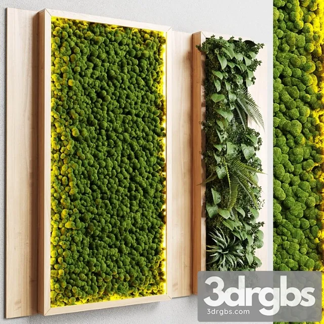 Wall garden and vertical moss in wooden frame 22