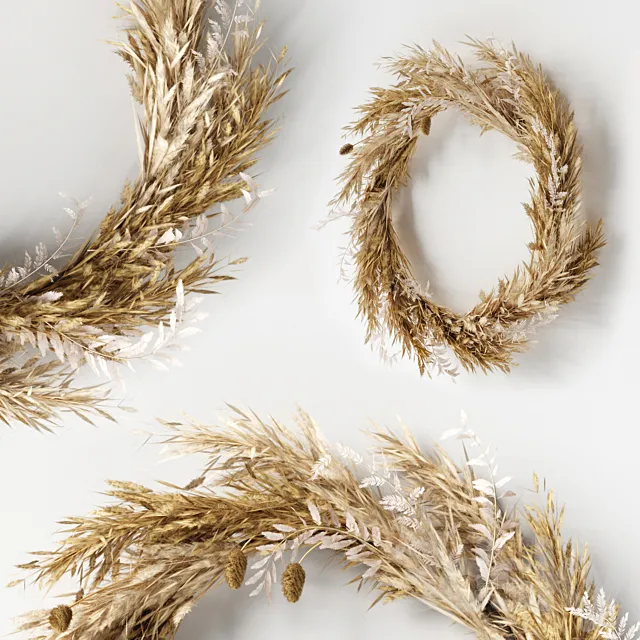 Wall hanging Pampas Ring-01 3ds Max