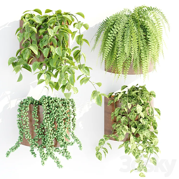 Wall hanging plants collection vol 206 3DS Max Model