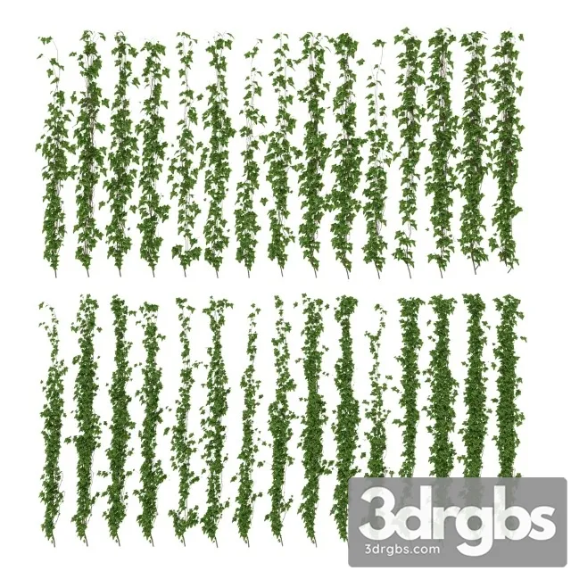 Wall Of Ivy Leaves 3dsmax Download