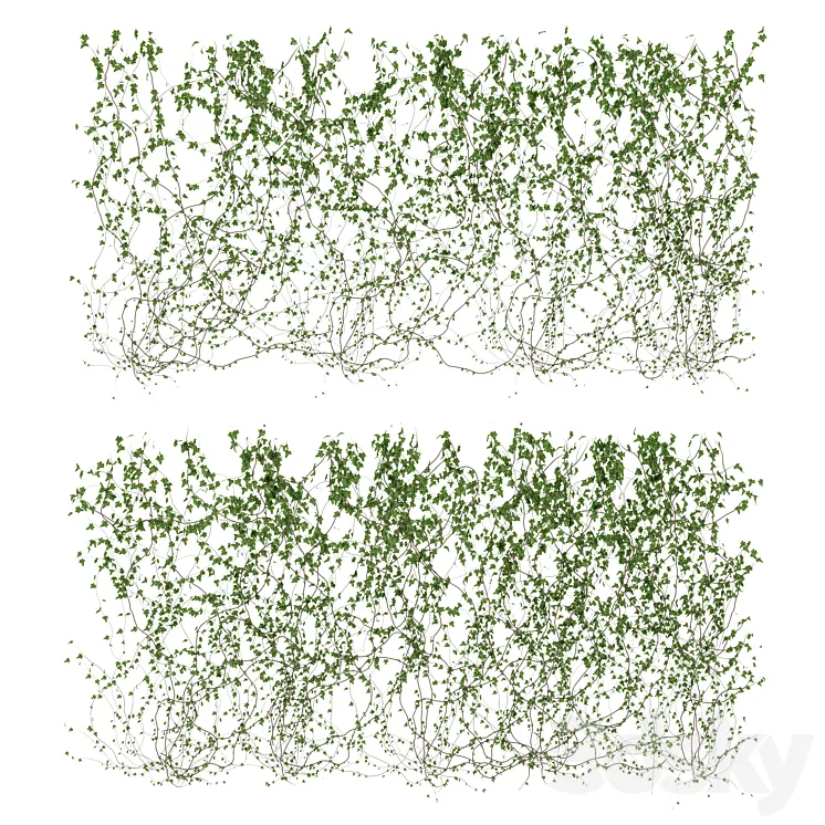 Wall of ivy leaves v3 3DS Max