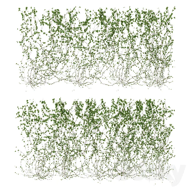 Wall of ivy leaves v3 3DSMax File