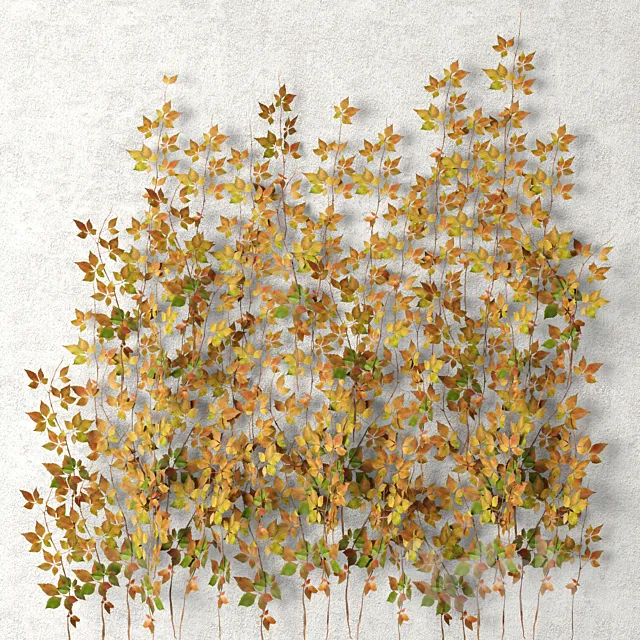 Wall of leaves hanging plants leaf autumn vine leaves 3ds Max