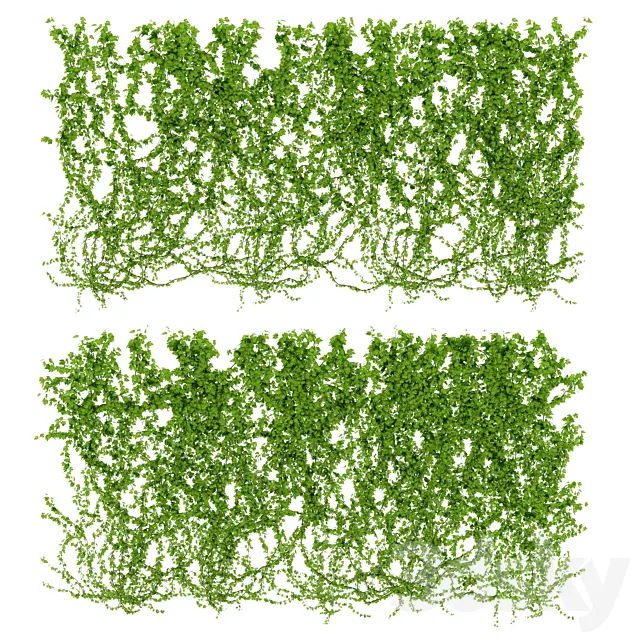 Wall of wild grapes leaves. 2 products 3ds Max