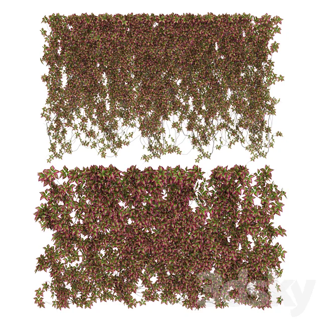 Wall of wild grapes leaves v3 3DSMax File