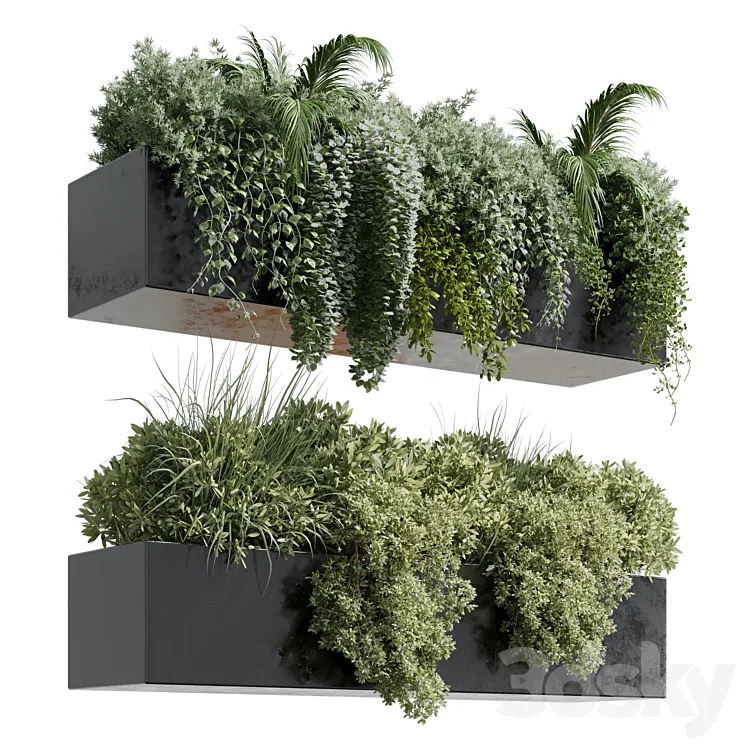 wall plant – hanging plants collection Indoor plant 219 3DS Max Model