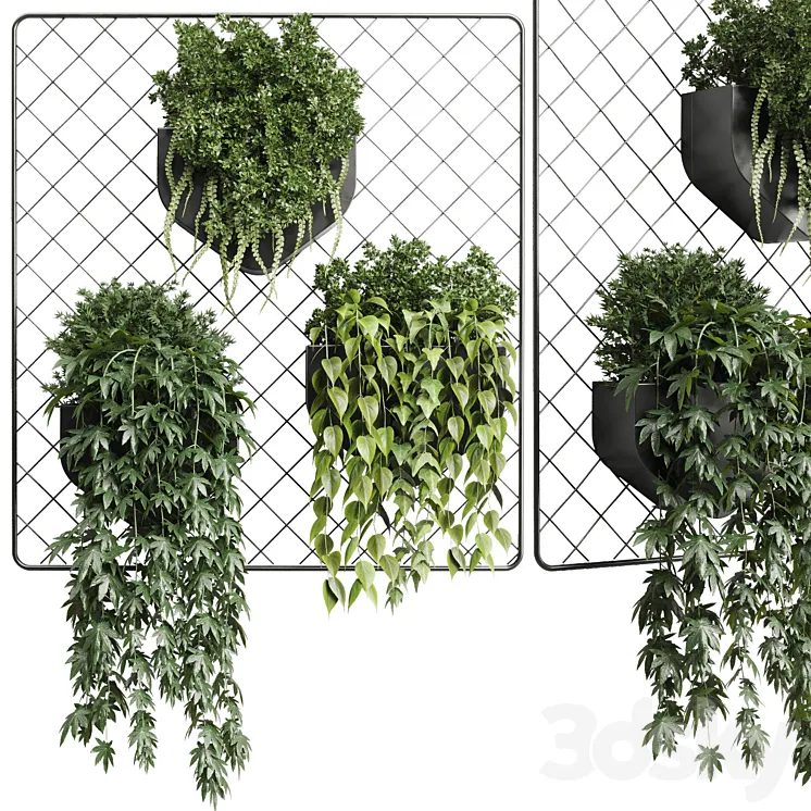 wall plant – hanging plants collection Indoor plant 293 metal dirt vase 3DS Max Model