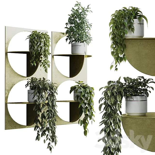 wall plant – set Indoor plant 365 plants in on a shelf 3ds Max